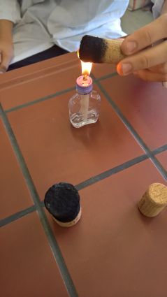 wp_20161102_08_52_34_pro