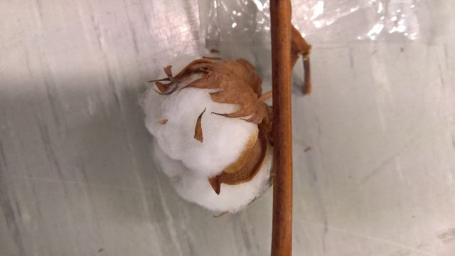 wp_20161104_12_19_35_pro